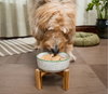 Open Farm Surf & Turf Freeze Dried Raw Patties for Dogs