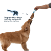Tall Tails'Natural Leather Jointed Trout Tug Dog Toy