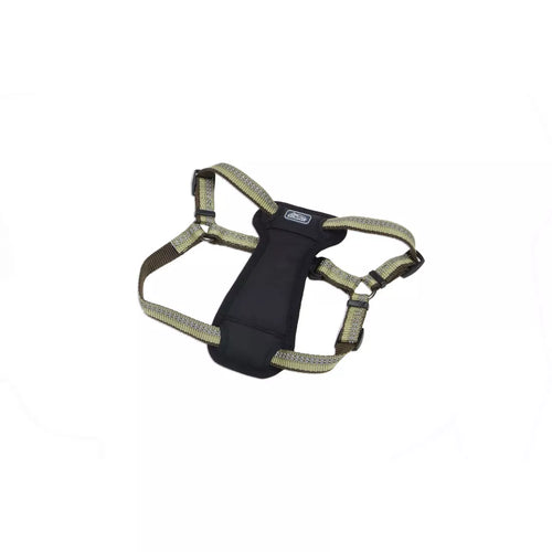 Coastal K9 Explorer Reflective Adjustable Padded Dog Harness