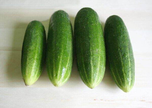 Seedway Straight 8 Cucumber (Treated Seeds)