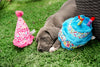 The Worthy Dog Birthday Hat Dog Toy