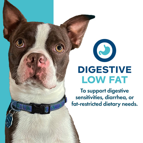 Fromm Nutritionals Digestive Support Low Fat Pâté Wet Complete Dog Food