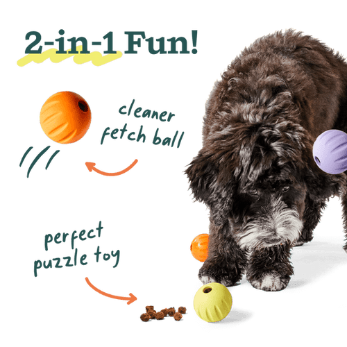 Woof Flyball 3 Pack Dog Toy