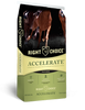 Accelerate® Textured Horse Feed