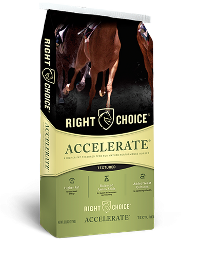 Accelerate® Textured Horse Feed
