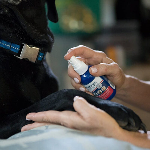 Vetericyn Plus Hot Spot Antimicrobial Gel