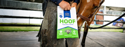 Triple Crown Hoof Functional Wafers