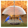 Dome Top Seed & Bluebird Feeder, 11-3/4 Inch