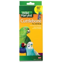 Pet Bird Cuttlebone