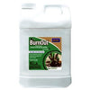 BurnOut Weed/Grass Killer Concentrate, 2.5-Gallons