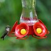 Perky-Pet® Favored Pinch-Waist Glass Hummingbird Feeder