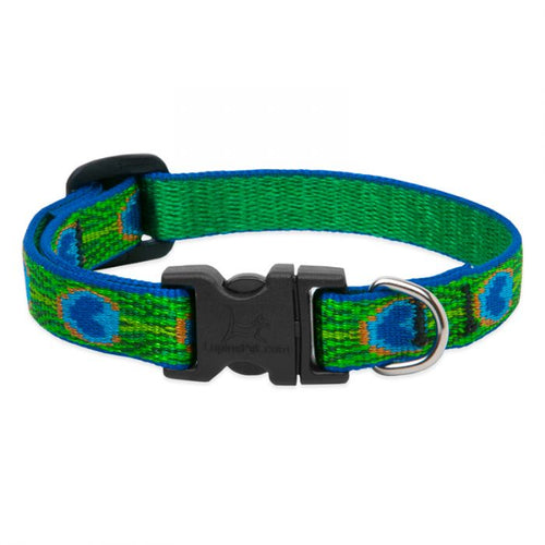 LupinePet Original Designs Dog Collar