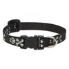 LupinePet Original Designs Dog Collar