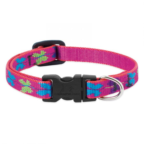 LupinePet Original Designs Dog Collar