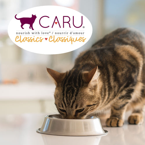 Caru Classics Chicken Stew for Cats (6-oz)