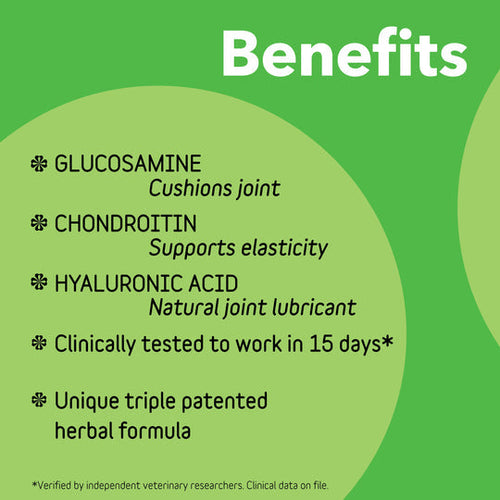 In Clover Connectin Joint Soft Chews for Dogs