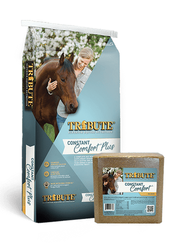 Tribute Constant Comfort® Total Gut Health Supplement System