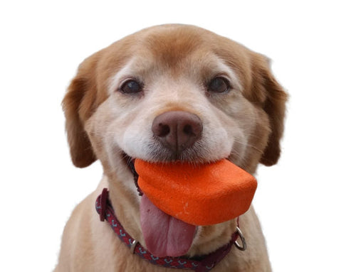 Ruff Dawg Rock Rubber Retrieving Toy (3.5″ Textured - Assorted Colors)