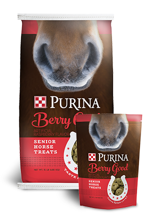 Purina® Berry Good® Senior Horse Treats (3 lbs)