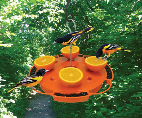 Songbird Essentials Ultimate Oriole Feeder