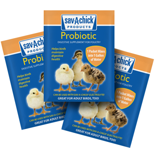 Sav-A-Chick® Probiotic Supplement (3 Pack)