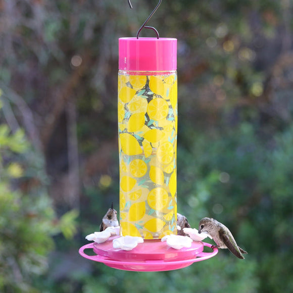 Nature's Way Hummingbird Lemonade Stand Feeder ((Model# DGHF-ALSF) 20 Oz)
