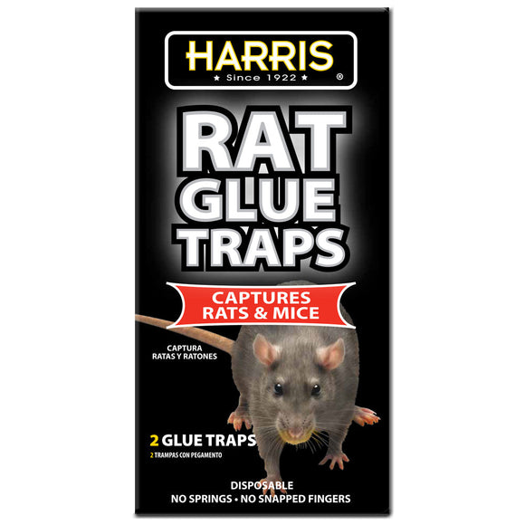 Harris Rat Glue Board Trap - Pittsburgh, PA - Pittsburgh Agway