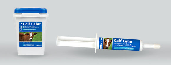 Oralx Corporation Calf Calm Paste for Horses