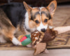 Fluff & Tuff Ike Pheasant Dog Toy