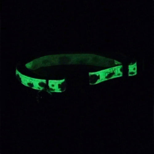 Coastal Pet Safe Cat Glow in the Dark Adjustable Breakaway Collar (3/8 x 08-12, Glowing Lime Skulls)