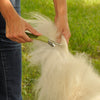 Coastal Pet Products Safari Dog De-Matting Comb (1-Count)