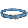 Coastal Pet Products Pro Reflective Adjustable Dog Collar (1 x 18-26, Fuscia with Teal)
